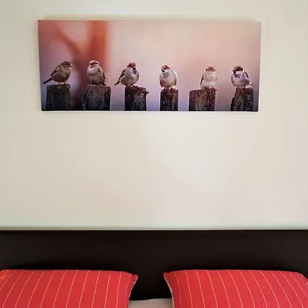 克里斯塔采尔马特公寓 公寓